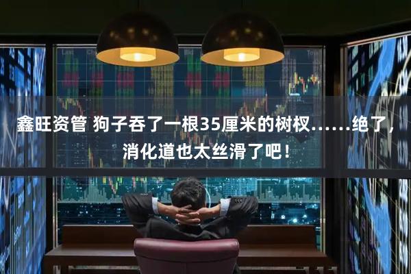 鑫旺资管 狗子吞了一根35厘米的树杈……绝了，消化道也太丝滑了吧！