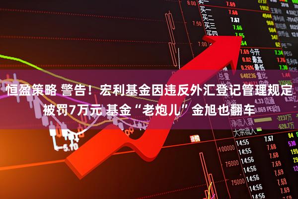 恒盈策略 警告！宏利基金因违反外汇登记管理规定被罚7万元 基金“老炮儿”金旭也翻车