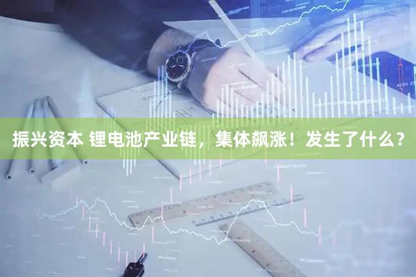振兴资本 锂电池产业链，集体飙涨！发生了什么？
