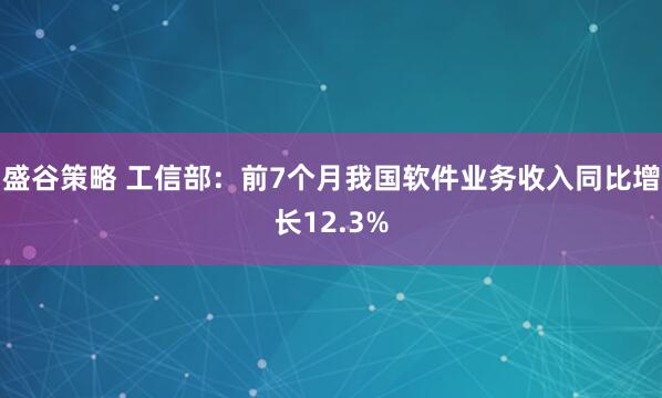 盛谷策略 工信部：前7个月我国软件业务收入同比增长12.3%